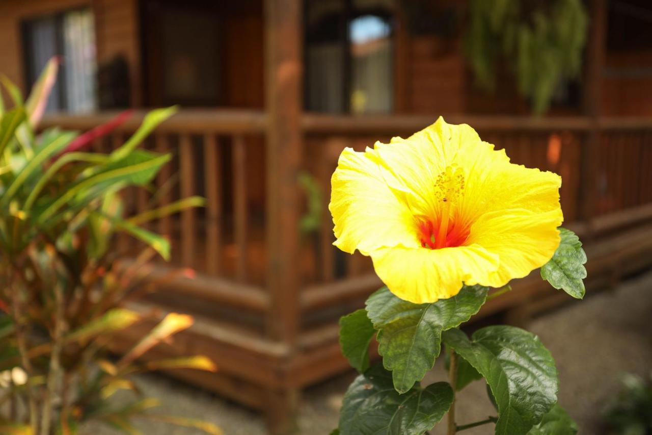 Casa Marcellino Lodge Cahuita Exterior foto